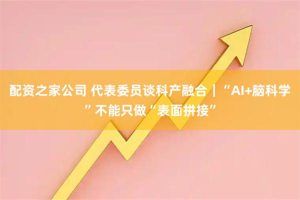 配资之家公司 代表委员谈科产融合｜“AI+脑科学”不能只做“表面拼接”